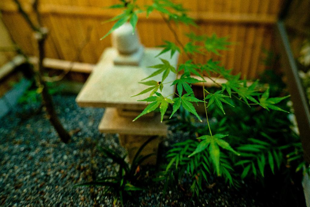 明伦小金庵度假屋 京都 客房 照片